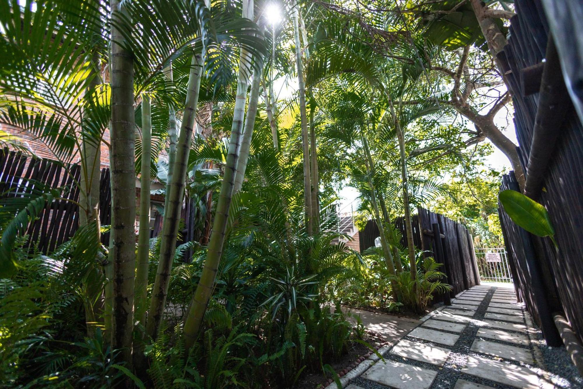 Ferienwohnung Little Eden Saint Lucia Estuary Exterior foto