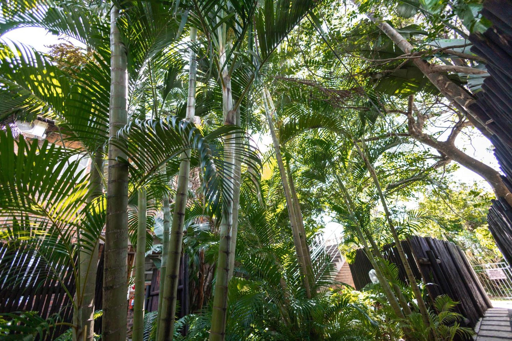 Ferienwohnung Little Eden Saint Lucia Estuary Exterior foto